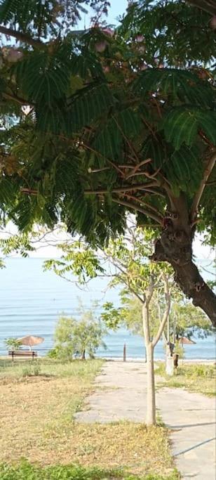 فيلا Pomegranate Seaside Corner Fanárion المظهر الخارجي الصورة