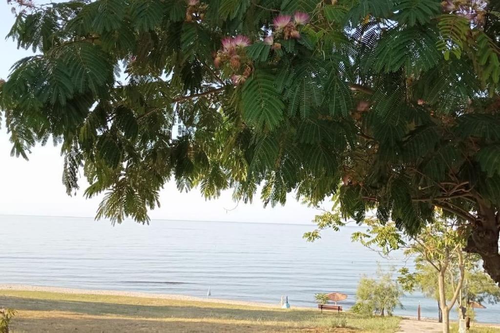 فيلا Pomegranate Seaside Corner Fanárion المظهر الخارجي الصورة